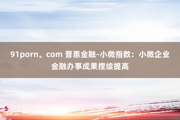 91porn。com 普惠金融-小微指数：小微企业金融办事成果捏续提高