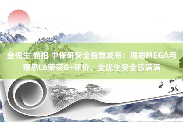 金先生 偷拍 中保研安全指数发布：理思MEGA与理思L6荣获G+评价，全优生安全感满满