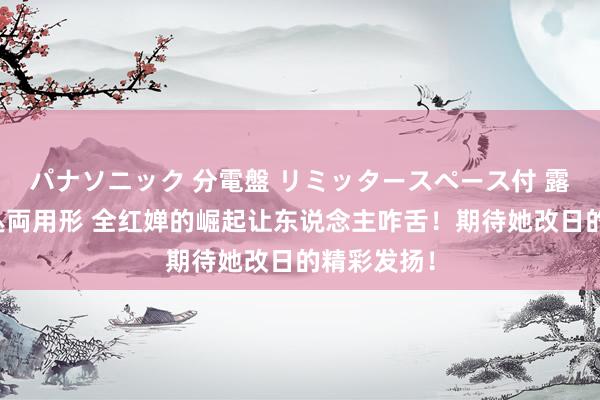 パナソニック 分電盤 リミッタースペース付 露出・半埋込両用形 全红婵的崛起让东说念主咋舌！期待她改日的精彩发扬！