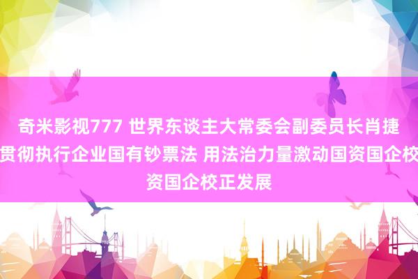 奇米影视777 世界东谈主大常委会副委员长肖捷：深刻贯彻执行企业国有钞票法 用法治力量激动国资国企校正发展