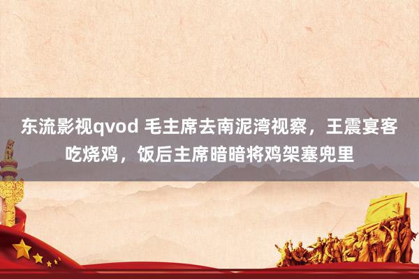 东流影视qvod 毛主席去南泥湾视察，王震宴客吃烧鸡，饭后主席暗暗将鸡架塞兜里