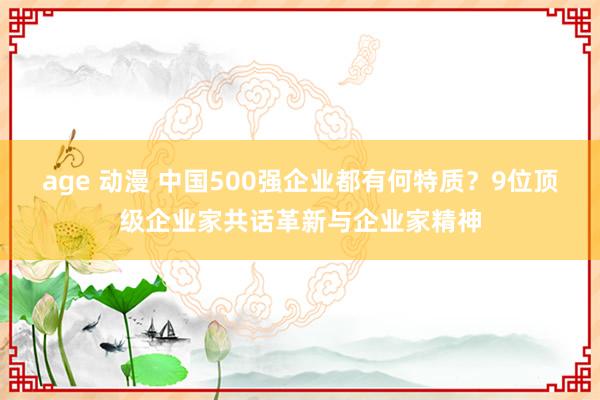 age 动漫 中国500强企业都有何特质？9位顶级企业家共话革新与企业家精神