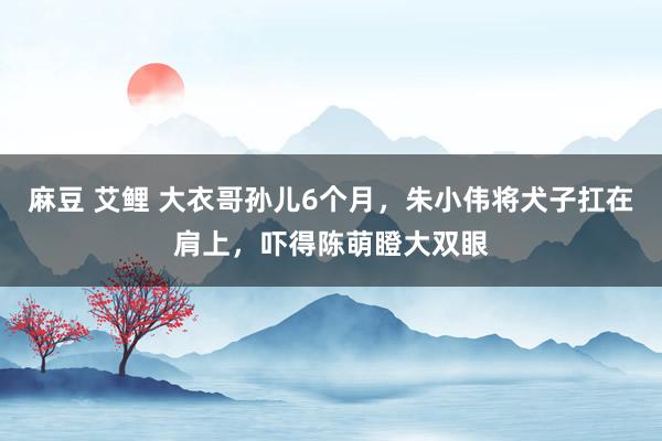 麻豆 艾鲤 大衣哥孙儿6个月，朱小伟将犬子扛在肩上，吓得陈萌瞪大双眼