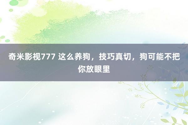 奇米影视777 这么养狗，技巧真切，狗可能不把你放眼里