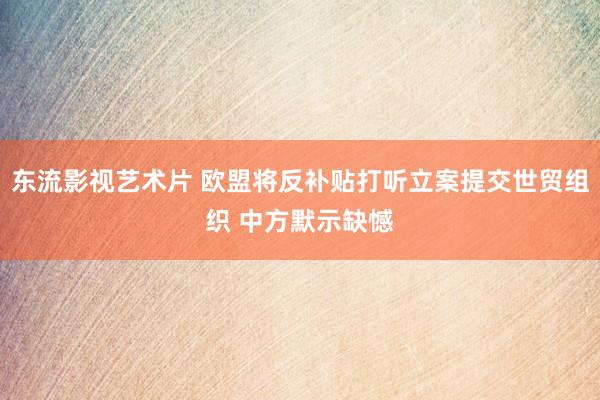 东流影视艺术片 欧盟将反补贴打听立案提交世贸组织 中方默示缺憾