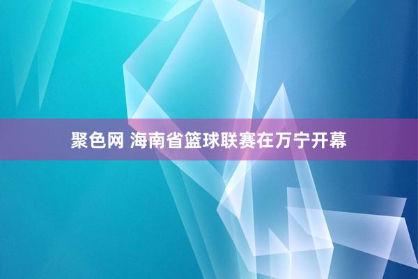 聚色网 海南省篮球联赛在万宁开幕