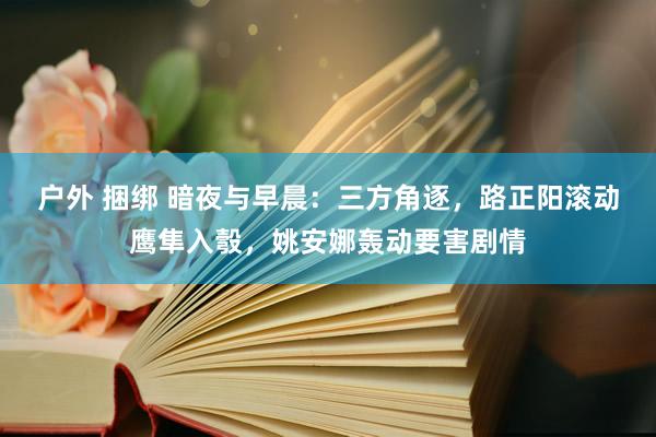 户外 捆绑 暗夜与早晨：三方角逐，路正阳滚动鹰隼入彀，姚安娜轰动要害剧情