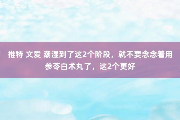 推特 文爱 潮湿到了这2个阶段，就不要念念着用参苓白术丸了，这2个更好