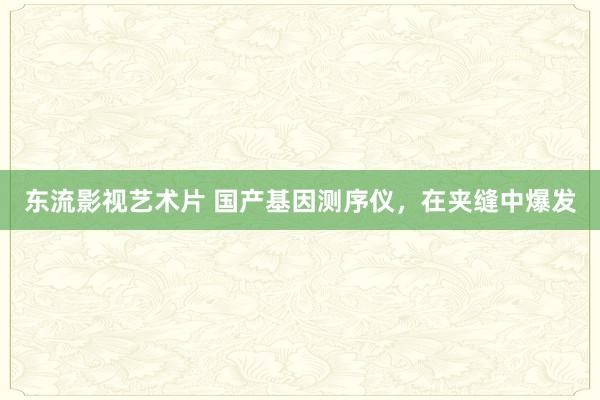 东流影视艺术片 国产基因测序仪，在夹缝中爆发