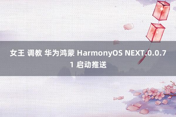 女王 调教 华为鸿蒙 HarmonyOS NEXT.0.0.71 启动推送