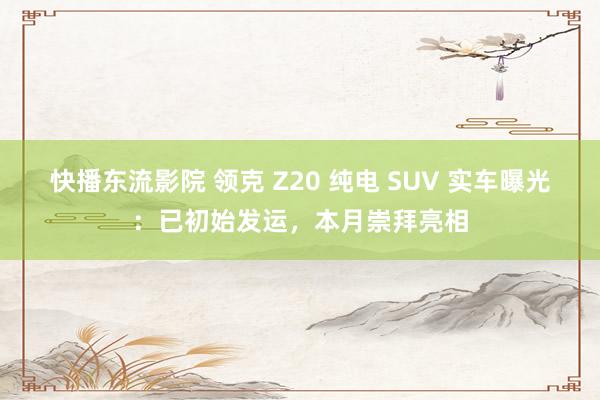 快播东流影院 领克 Z20 纯电 SUV 实车曝光：已初始发运，本月崇拜亮相