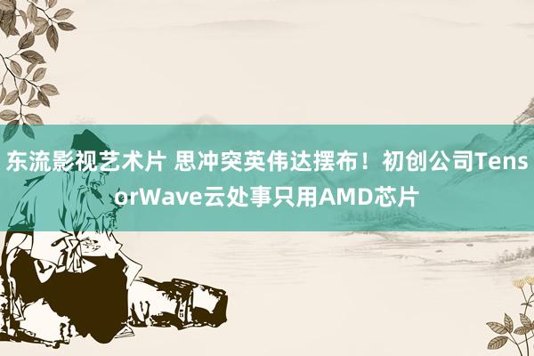 东流影视艺术片 思冲突英伟达摆布！初创公司TensorWave云处事只用AMD芯片