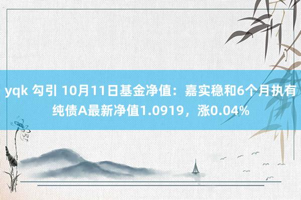 yqk 勾引 10月11日基金净值：嘉实稳和6个月执有纯债A最新净值1.0919，涨0.04%