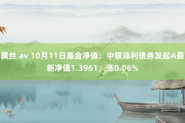 黑丝 av 10月11日基金净值：中银添利债券发起A最新净值1.3961，涨0.06%