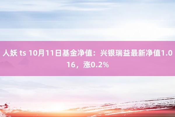 人妖 ts 10月11日基金净值：兴银瑞益最新净值1.016，涨0.2%