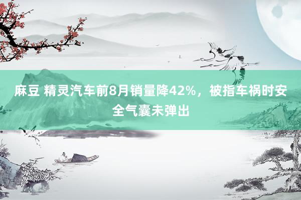 麻豆 精灵汽车前8月销量降42%，被指车祸时安全气囊未弹出