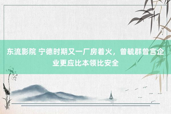 东流影院 宁德时期又一厂房着火，曾毓群曾言企业更应比本领比安全