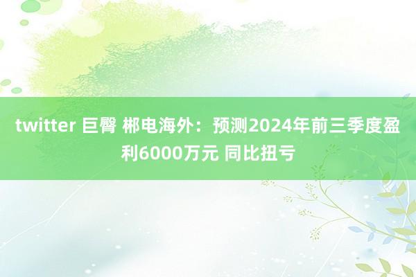 twitter 巨臀 郴电海外：预测2024年前三季度盈利6000万元 同比扭亏