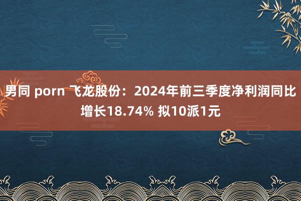 男同 porn 飞龙股份：2024年前三季度净利润同比增长18.74% 拟10派1元