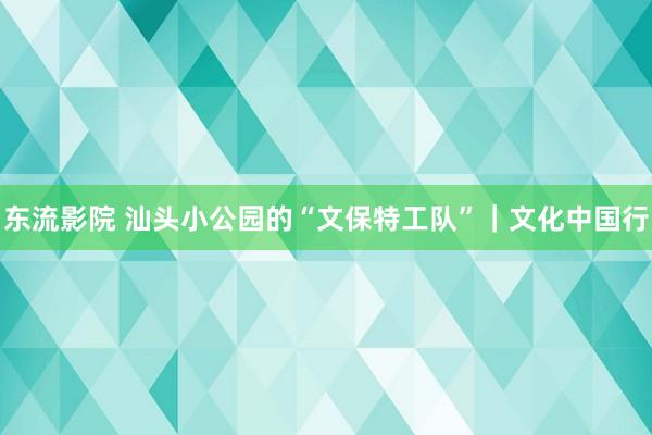 东流影院 汕头小公园的“文保特工队”｜文化中国行