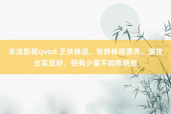 东流影视qvod 王扶林说，张静林很漂亮，演技也实足好，但有少量不如陈晓旭