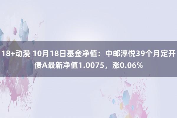 18+动漫 10月18日基金净值：中邮淳悦39个月定开债A最新净值1.0075，涨0.06%