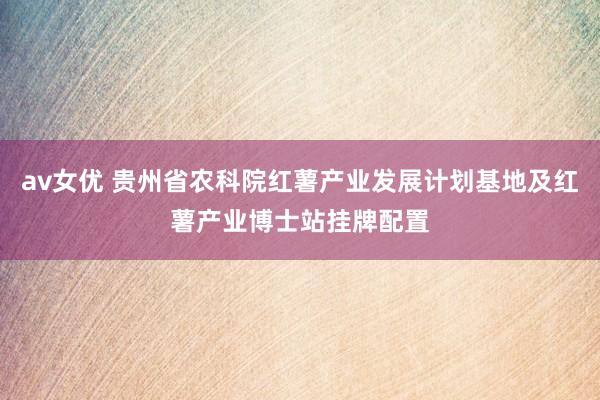 av女优 贵州省农科院红薯产业发展计划基地及红薯产业博士站挂牌配置