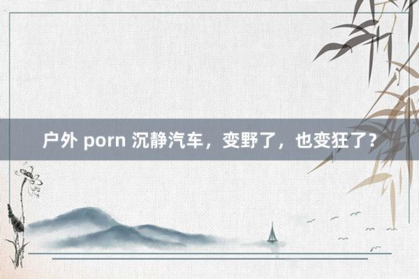 户外 porn 沉静汽车，变野了，也变狂了？