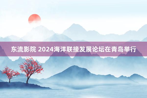 东流影院 2024海洋联接发展论坛在青岛举行