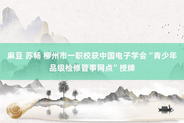 麻豆 苏畅 柳州市一职校获中国电子学会“青少年品级检修管事网点”授牌