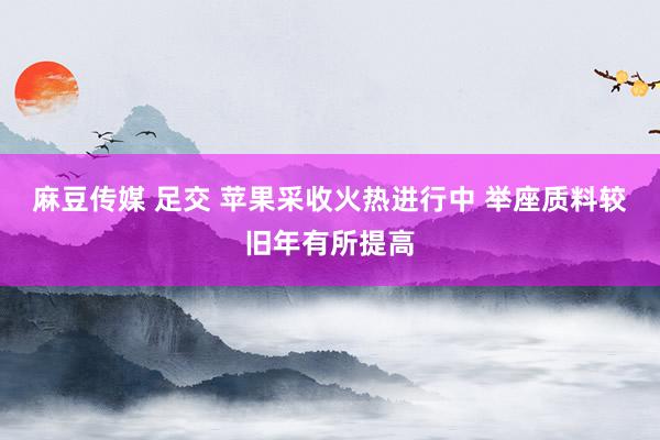 麻豆传媒 足交 苹果采收火热进行中 举座质料较旧年有所提高