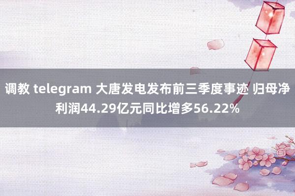 调教 telegram 大唐发电发布前三季度事迹 归母净利润44.29亿元同比增多56.22%