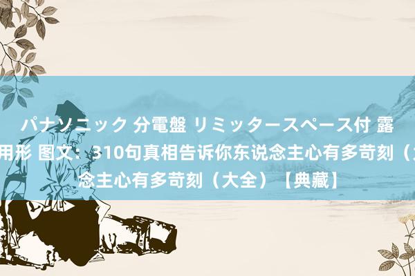 パナソニック 分電盤 リミッタースペース付 露出・半埋込両用形 图文：310句真相告诉你东说念主心有多苛刻（大全）【典藏】