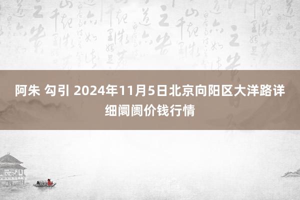 阿朱 勾引 2024年11月5日北京向阳区大洋路详细阛阓价钱行情