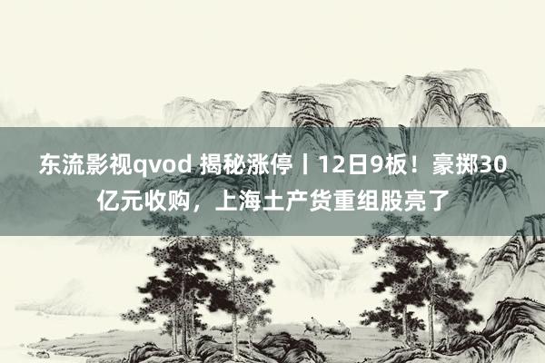 东流影视qvod 揭秘涨停丨12日9板！豪掷30亿元收购，上海土产货重组股亮了