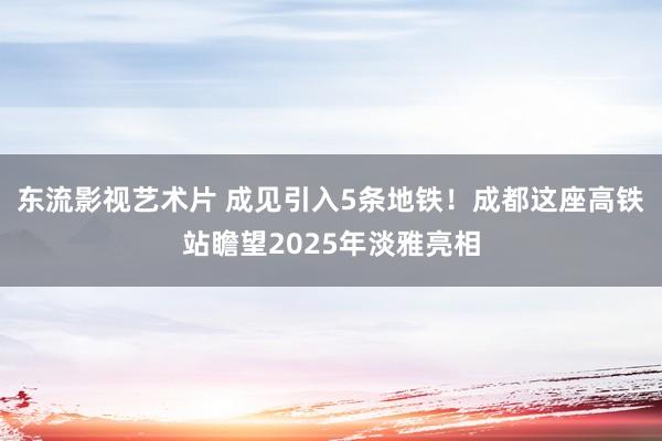 东流影视艺术片 成见引入5条地铁！成都这座高铁站瞻望2025年淡雅亮相