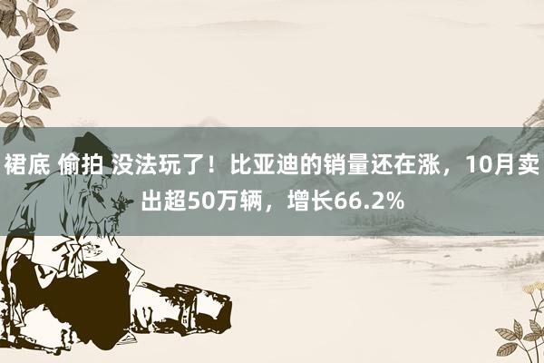 裙底 偷拍 没法玩了！比亚迪的销量还在涨，10月卖出超50万辆，增长66.2%