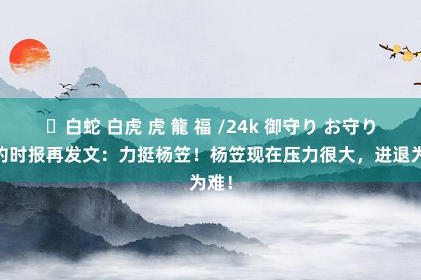 ✨白蛇 白虎 虎 龍 福 /24k 御守り お守り 纽约时报再发文：力挺杨笠！杨笠现在压力很大，进退为难！