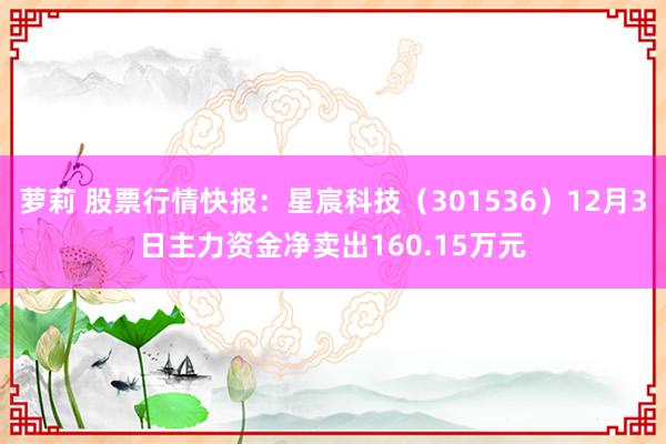 萝莉 股票行情快报：星宸科技（301536）12月3日主力资金净卖出160.15万元