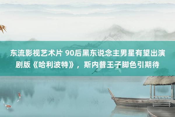 东流影视艺术片 90后黑东说念主男星有望出演剧版《哈利波特》，斯内普王子脚色引期待