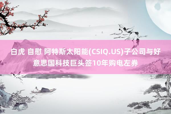 白虎 自慰 阿特斯太阳能(CSIQ.US)子公司与好意思国科技巨头签10年购电左券