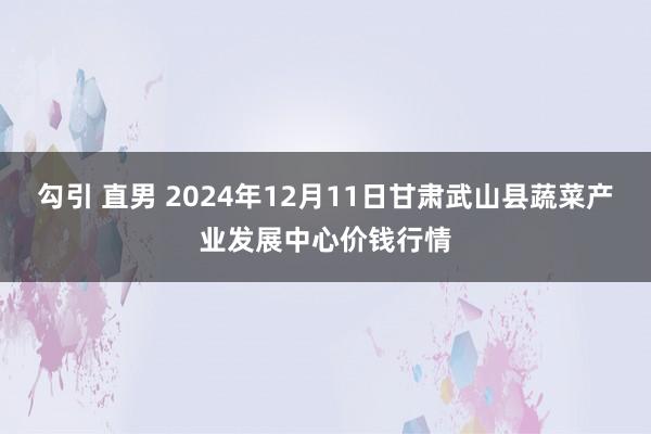 勾引 直男 2024年12月11日甘肃武山县蔬菜产业发展中心价钱行情