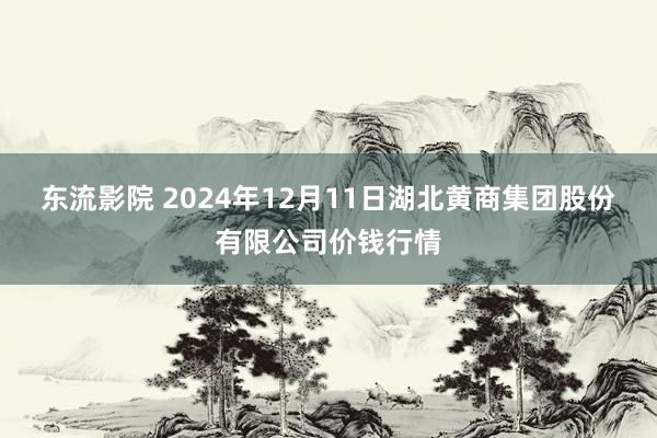 东流影院 2024年12月11日湖北黄商集团股份有限公司价钱行情