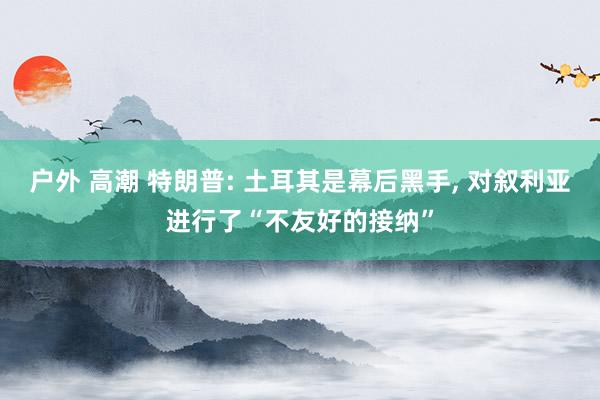 户外 高潮 特朗普: 土耳其是幕后黑手， 对叙利亚进行了“不友好的接纳”