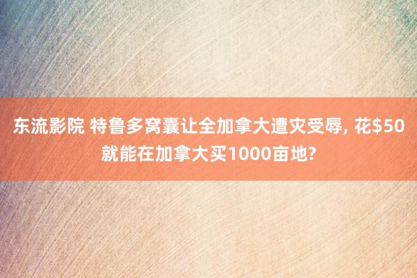 东流影院 特鲁多窝囊让全加拿大遭灾受辱， 花$50就能在加拿大买1000亩地?