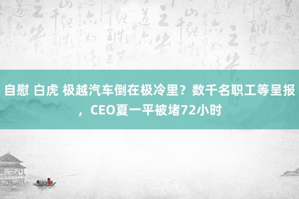 自慰 白虎 极越汽车倒在极冷里？数千名职工等呈报，CEO夏一平被堵72小时