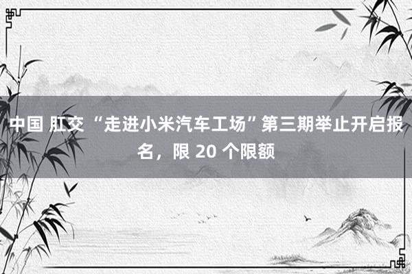 中国 肛交 “走进小米汽车工场”第三期举止开启报名，限 20 个限额