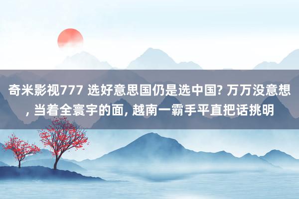 奇米影视777 选好意思国仍是选中国? 万万没意想， 当着全寰宇的面， 越南一霸手平直把话挑明