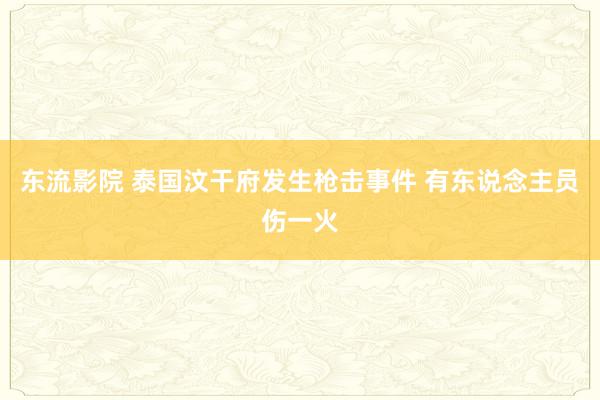 东流影院 泰国汶干府发生枪击事件 有东说念主员伤一火