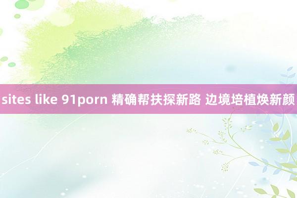 sites like 91porn 精确帮扶探新路 边境培植焕新颜